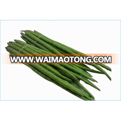 Organic Drumstick Vegetable